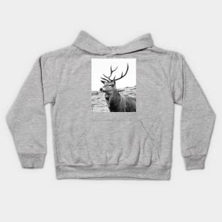 The Highland Stag Kids Hoodie